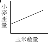 選項 B