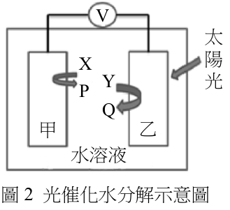 題組圖片