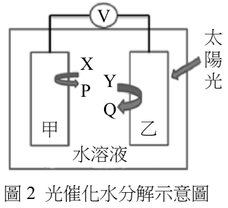 題組圖片