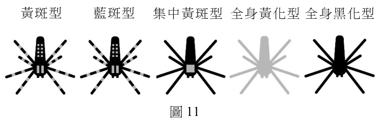 題組圖片
