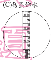 選項 C