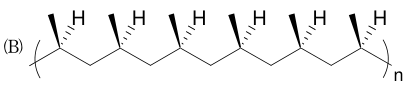 選項 B