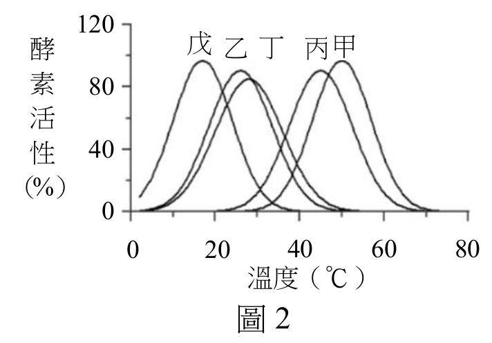 題目圖片