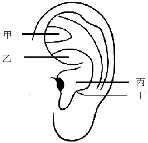 題目圖片
