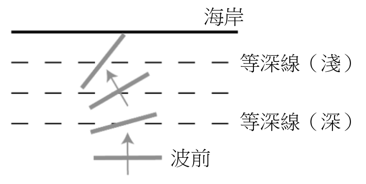 選項 D