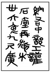 選項 B