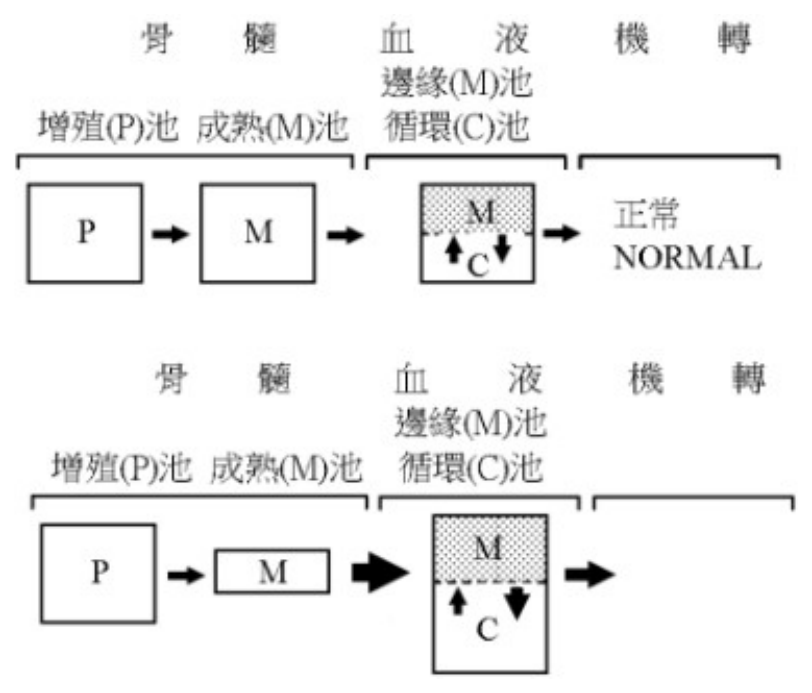 題目圖片