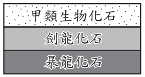 選項 C