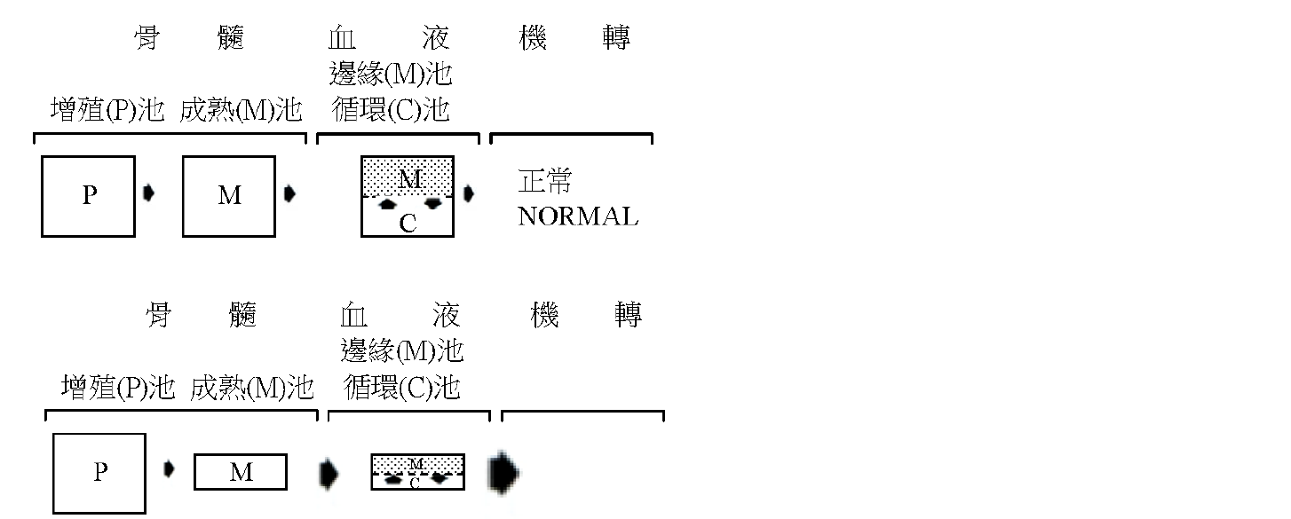題目圖片