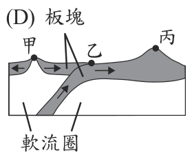 選項 D