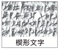 選項 D