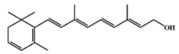 選項 D
