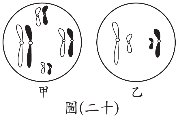 題目圖片