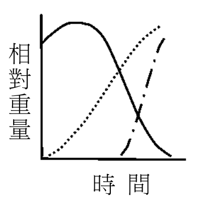 選項 A