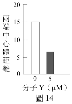 題組圖片