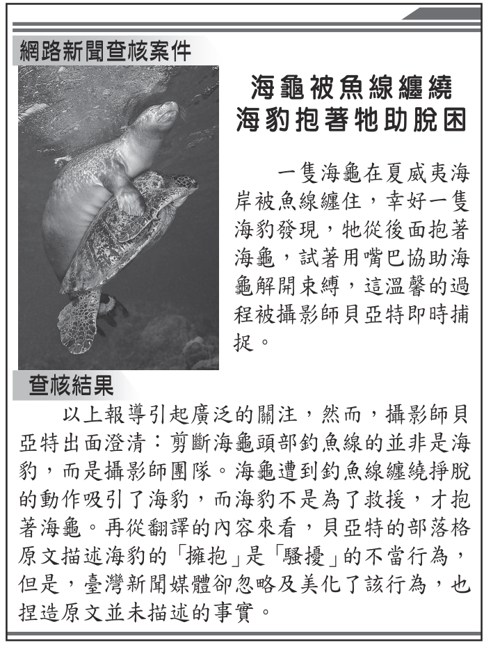 題組圖片