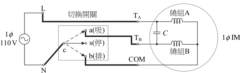 選項 C