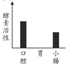 選項 A