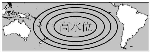 選項 C