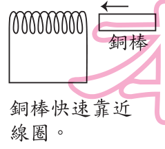 選項 B
