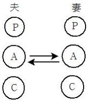 選項 C