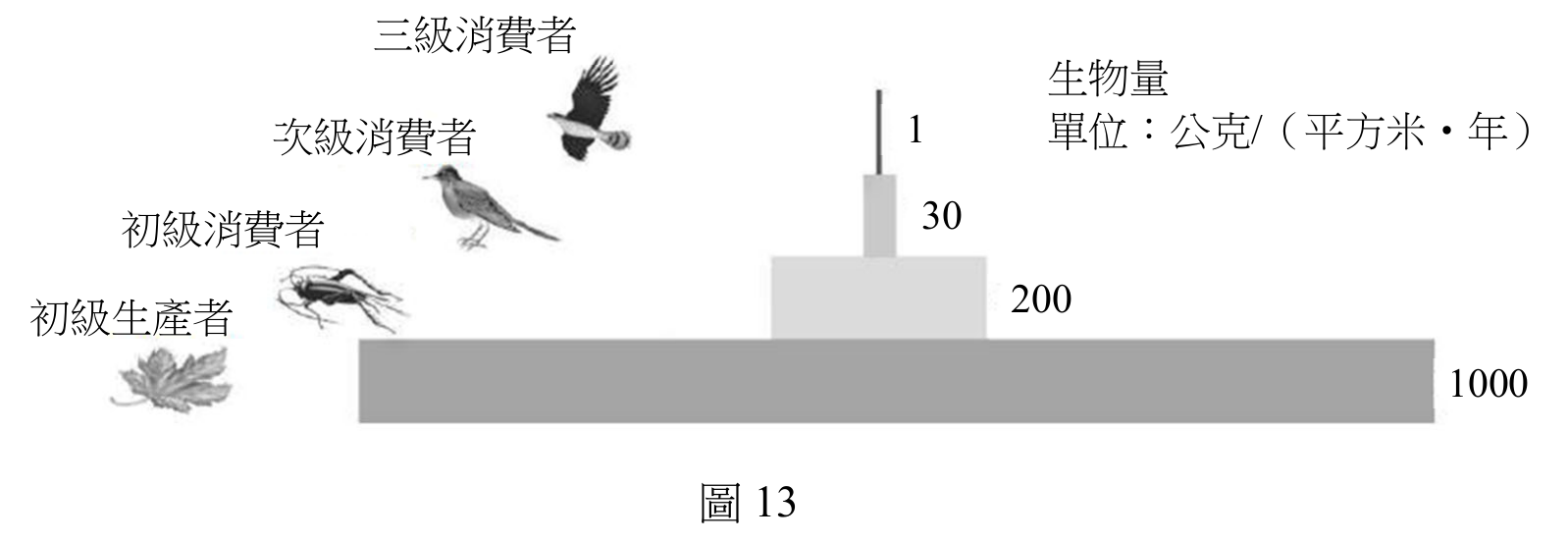 題目圖片