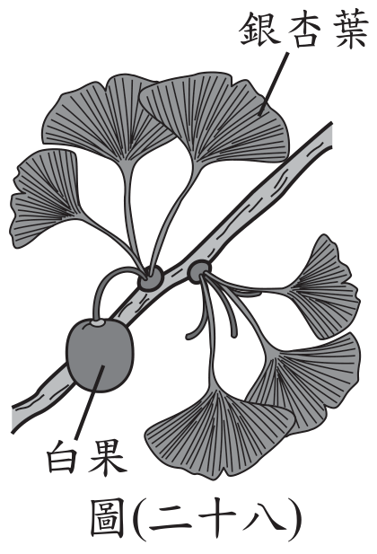 題目圖片
