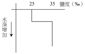 選項 E