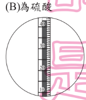 選項 B