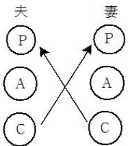 選項 D