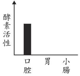 選項 C