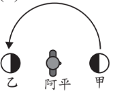 選項 A