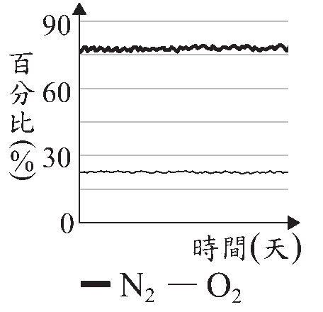 選項 A