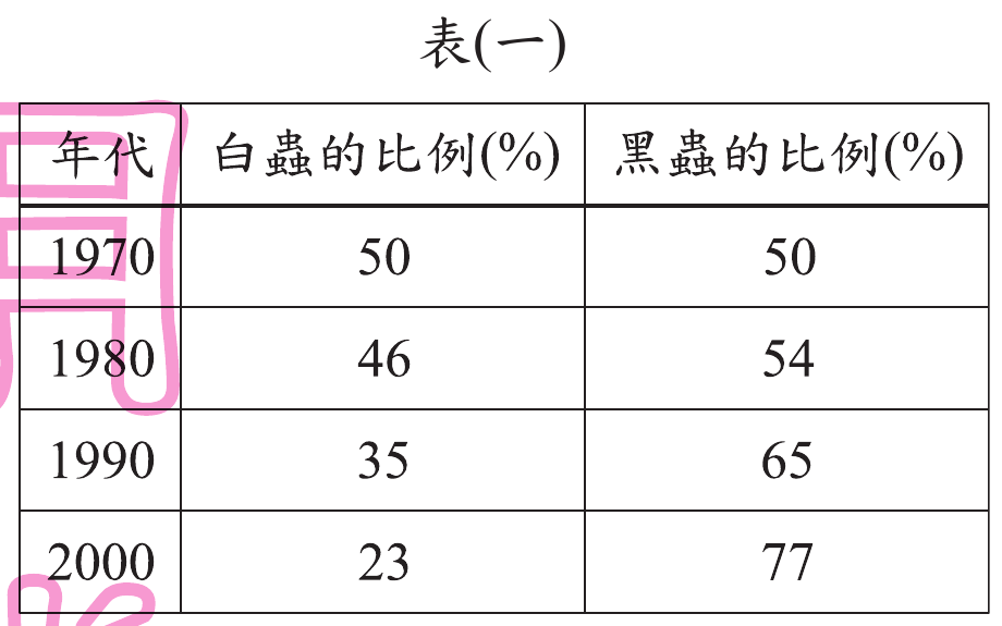 題目圖片