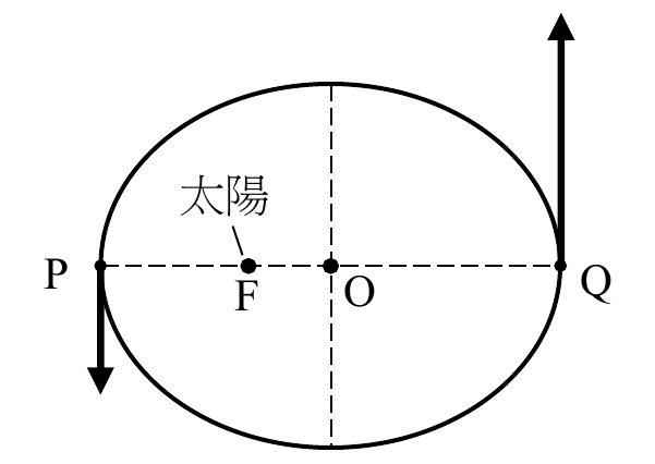 選項 C
