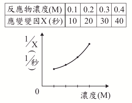選項 C