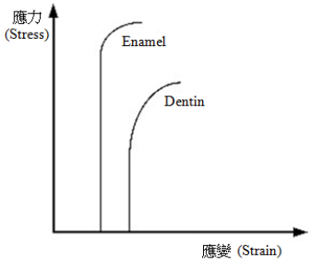 選項 D