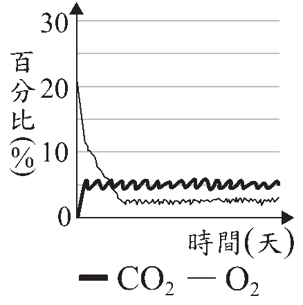 選項 D