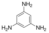 選項 B