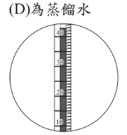 選項 D