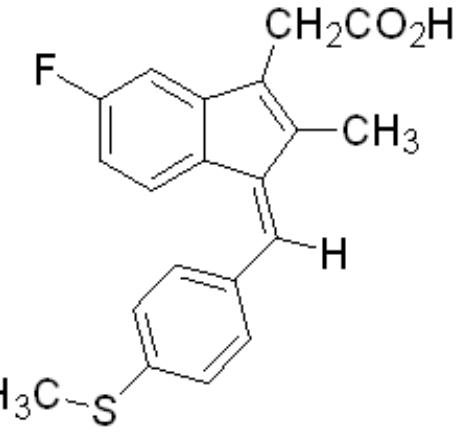 選項 C