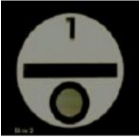 選項 D