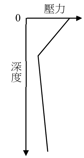 選項 C