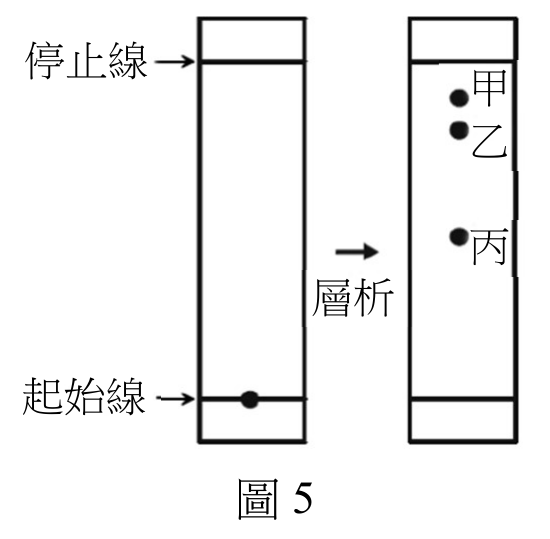 題目圖片