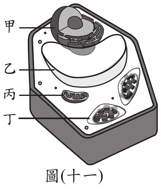 題目圖片
