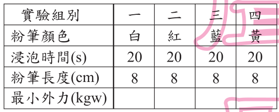 選項 C