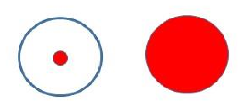 選項 D