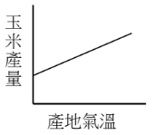 選項 D