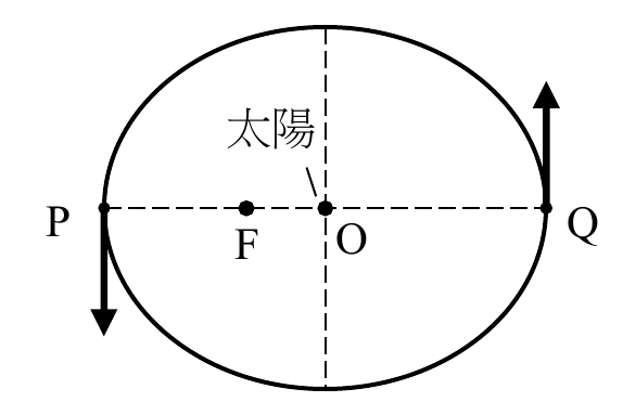 選項 D