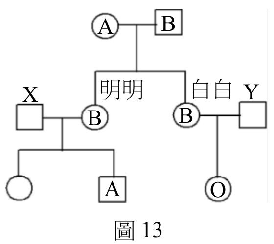 題目圖片